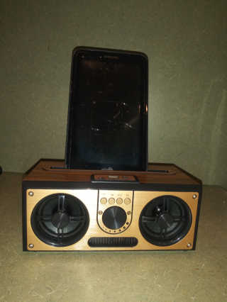 SEVIZ RETRO20W 레트로 블루투스 스피커 — 5점을 준 리뷰어가 2020년 8월 올린 사용 사진