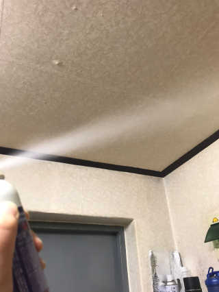 달리프 글램 샤이닝 스프레이 150ml — 4점을 준 리뷰어가 2020년 5월 올린 사용 사진