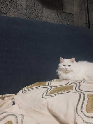 논지님이 올린 리뷰 사진 3