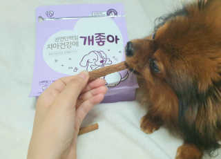 My Pet Care 천연단백질 치아건강에 개좋아 — 4점을 준 리뷰어가 2020년 11월 올린 사용 사진