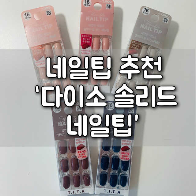 다이소 티타 솔리드네일팁 리뷰 사진