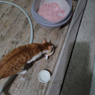 쓔리님이 올린 리뷰 사진 2