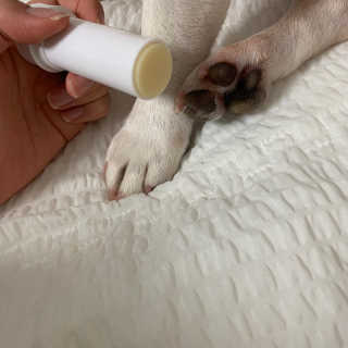 이샤르르님이 올린 리뷰 사진 2