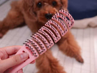 민쓰님이 올린 리뷰 사진 1