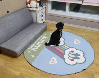 유짱님이 올린 리뷰 사진 3