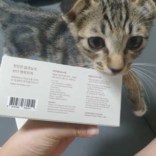 이째님이 올린 리뷰 사진 3