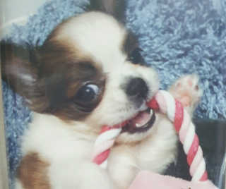 미실님이 올린 리뷰 사진 3