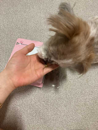 My Pet Care 천연단백질 관절건강에 개좋아 — 4.5점을 준 리뷰어가 2020년 12월 올린 사용 사진