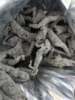 kaiyuua님이 올린 리뷰 사진 4