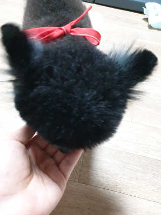 My Pet Care 천연단백질 관절건강에 개좋아 — 5점을 준 리뷰어가 2020년 11월 올린 사용 사진