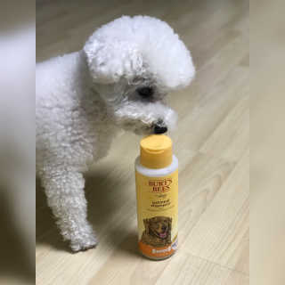 물끼님이 올린 리뷰 사진 3