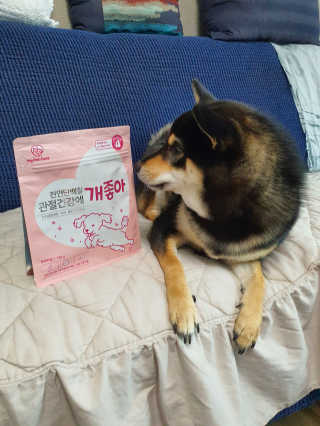 My Pet Care 천연단백질 관절건강에 개좋아 — 5점을 준 리뷰어가 2020년 12월 올린 사용 사진