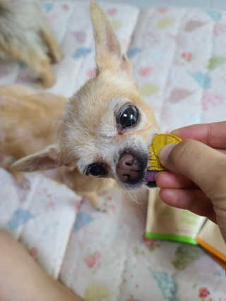 자옥이언니님이 올린 리뷰 사진 1
