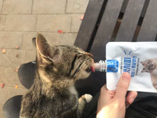Er님이 올린 리뷰 사진 3