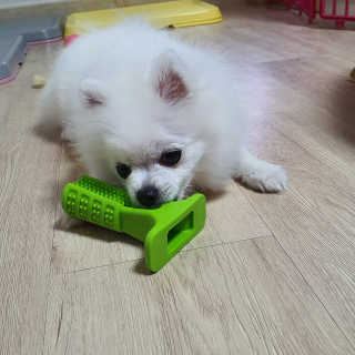 ssosso_yab님이 올린 리뷰 사진 3