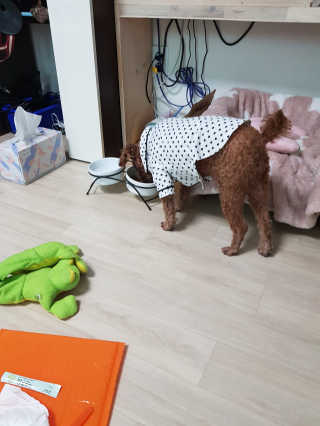 준맘님이 올린 리뷰 사진 1
