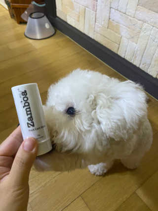 예봉봉봉님이 올린 리뷰 사진 3
