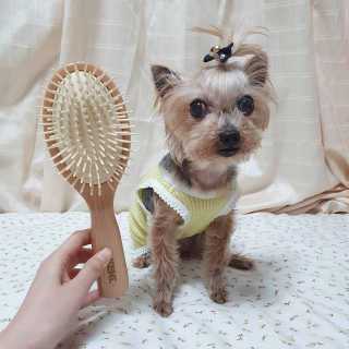 솜희님이 올린 리뷰 사진 2