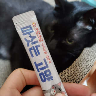 미니유님이 올린 리뷰 사진 3