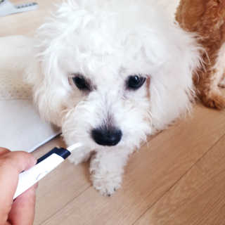 또롱님이 올린 리뷰 사진 3