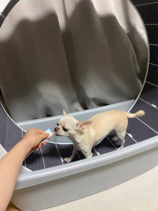 EunBee님이 올린 리뷰 사진 3