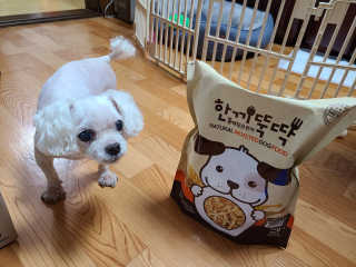 연이님이 올린 리뷰 사진 1