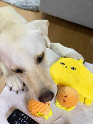 정봐기린님이 올린 리뷰 사진 3