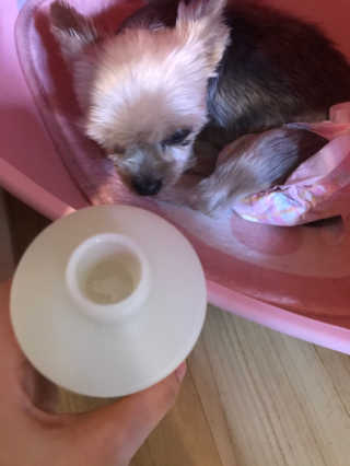 hana님이 올린 리뷰 사진 4
