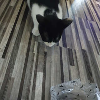 퓨리아님이 올린 리뷰 사진 4