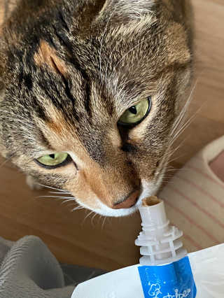 lucycat님이 올린 리뷰 사진 3