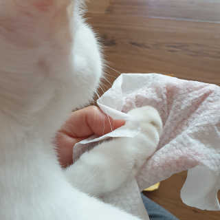 코코야옹님이 올린 리뷰 사진 3