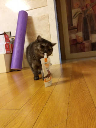 풀피리님이 올린 리뷰 사진 1