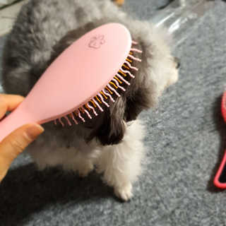 아이캔디 레인보우 볼륨S  브러쉬 for PET 미디엄 — 5점을 준 리뷰어가 2020년 11월 올린 사용 사진