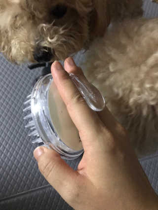 에이처드 유산균 탈모 샴푸 500ml — 5점을 준 리뷰어가 2020년 8월 올린 사용 사진