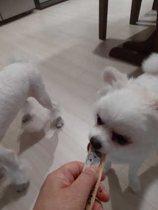 부산댁님이 올린 리뷰 사진 2