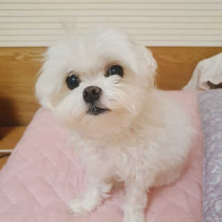 라임님이 올린 리뷰 사진 1